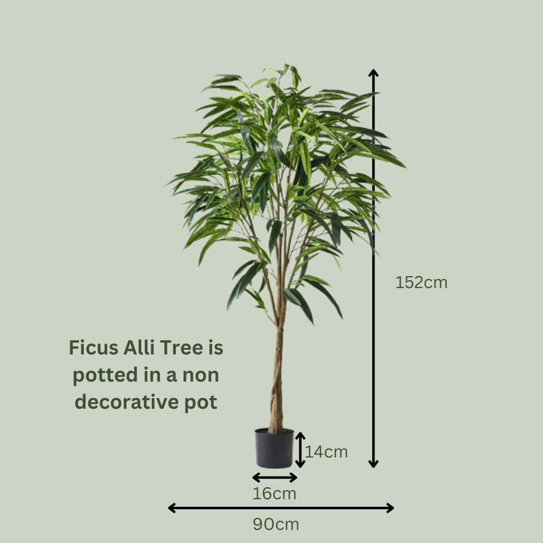 Artificial Ficus Alli Tree
