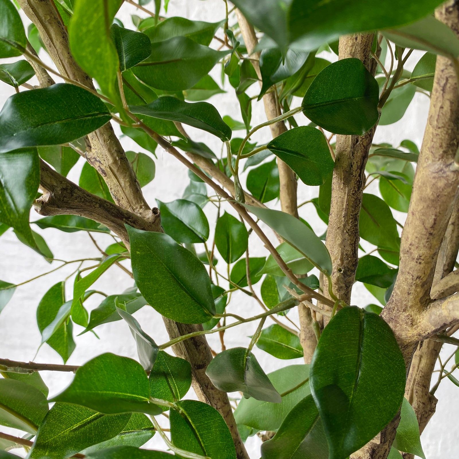 Giant Artificial Ficus Tree