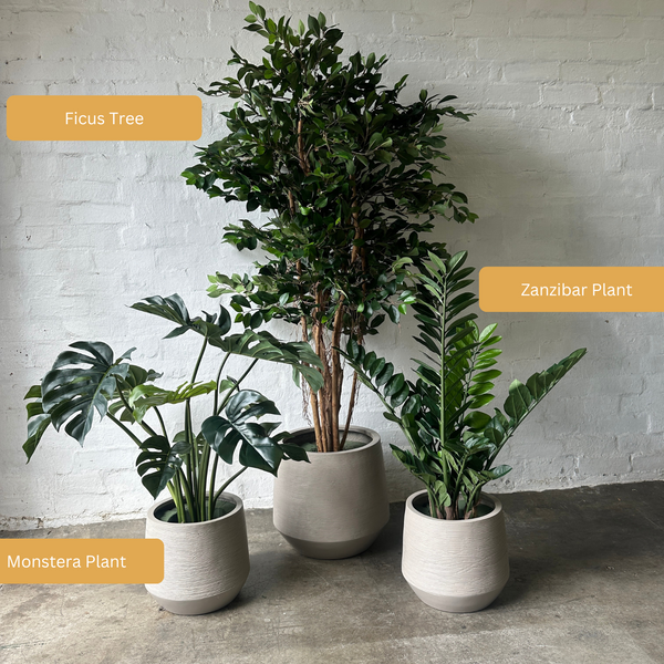 Artificial Ficus Tree