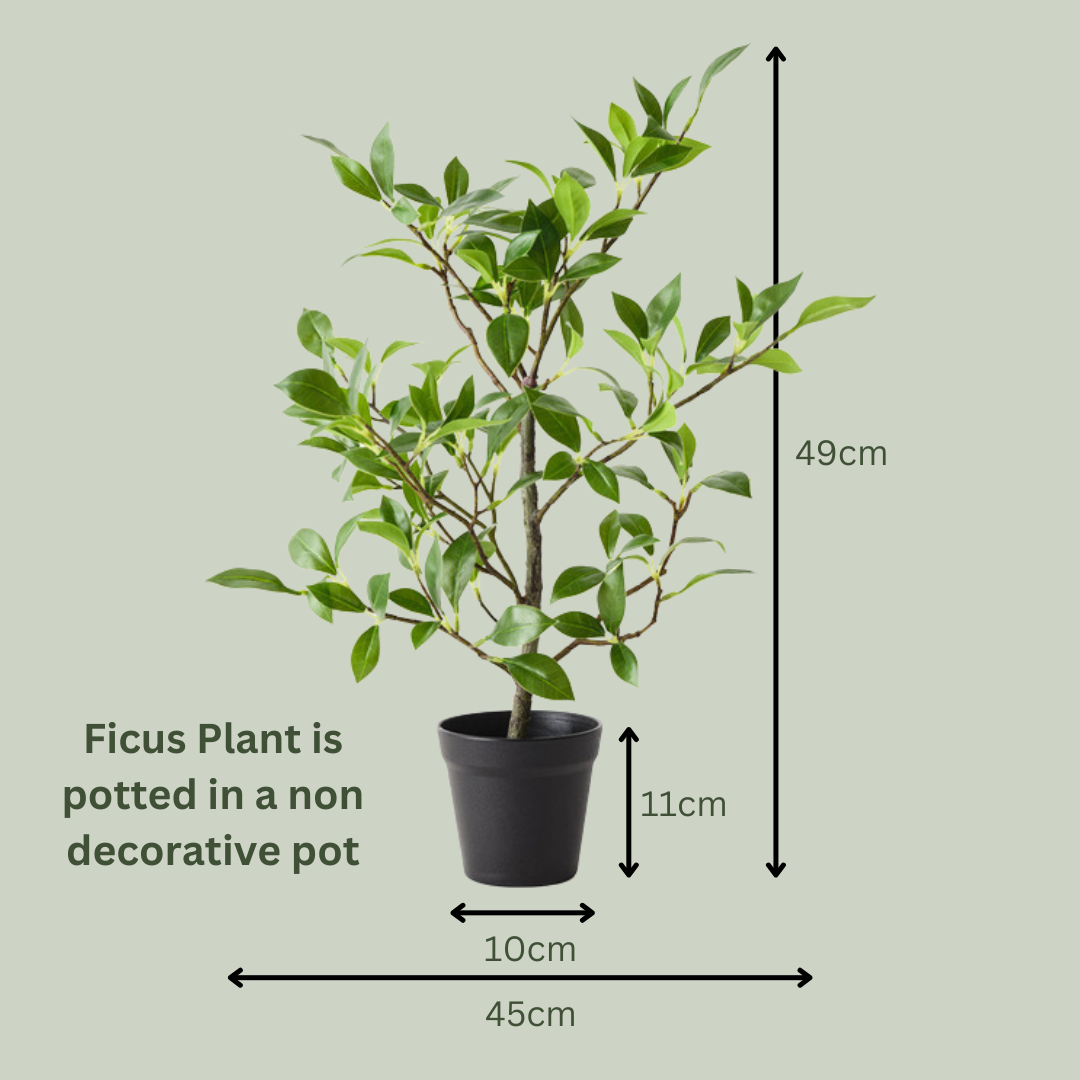 Artificial Ficus Plant | 49cm