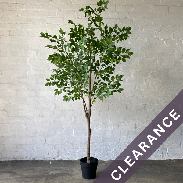 Artificial Ficus Tree