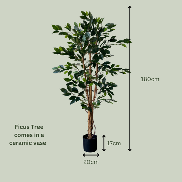 Artificial Ficus Tree