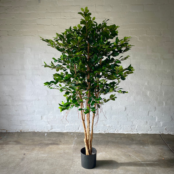 Artificial Ficus Tree