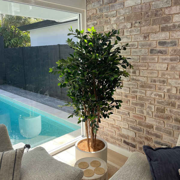 Artificial Ficus Tree