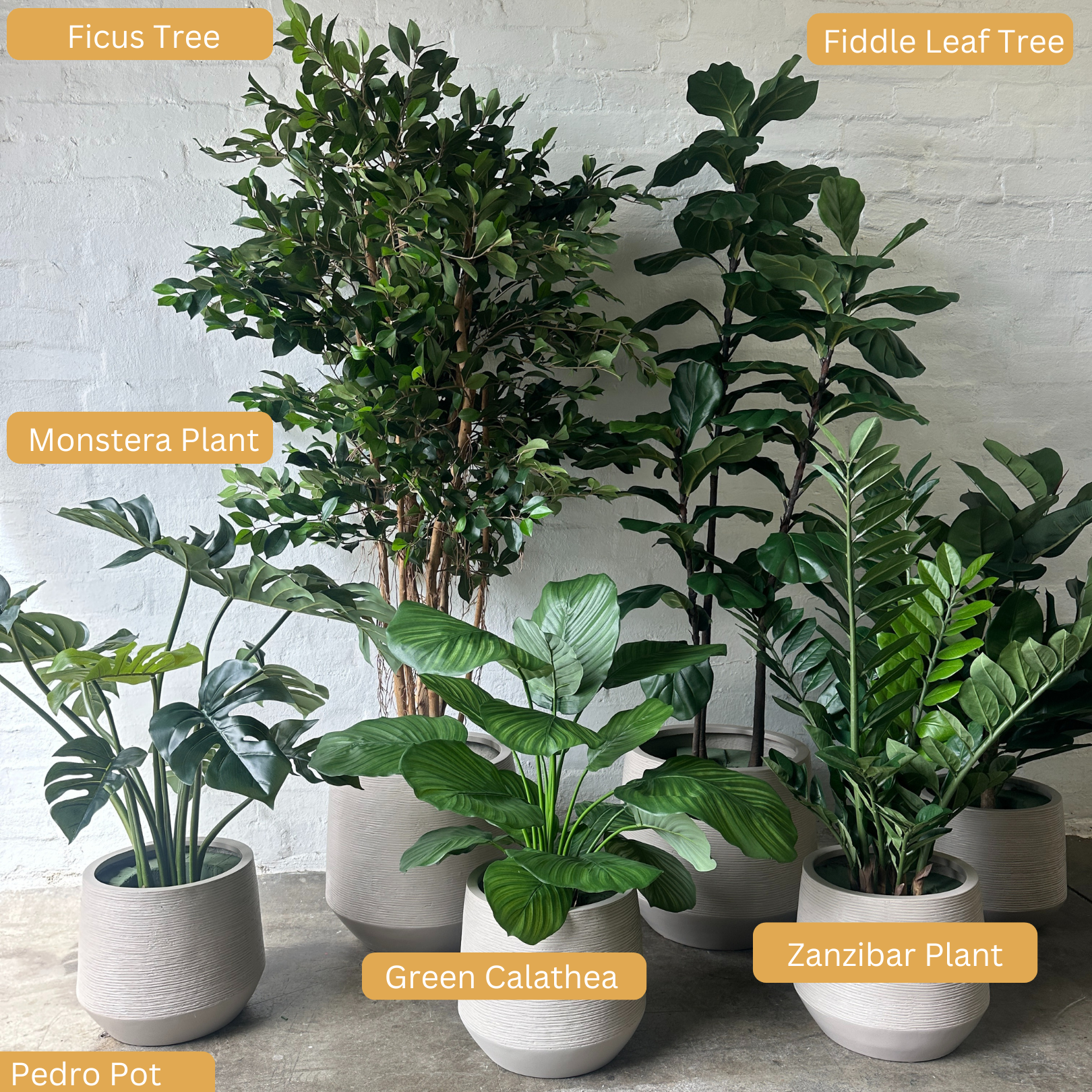 Artificial Calathea | Green