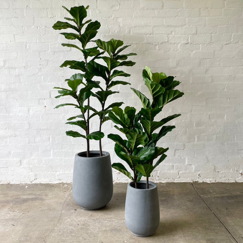 Artificial Fiddle Leaf