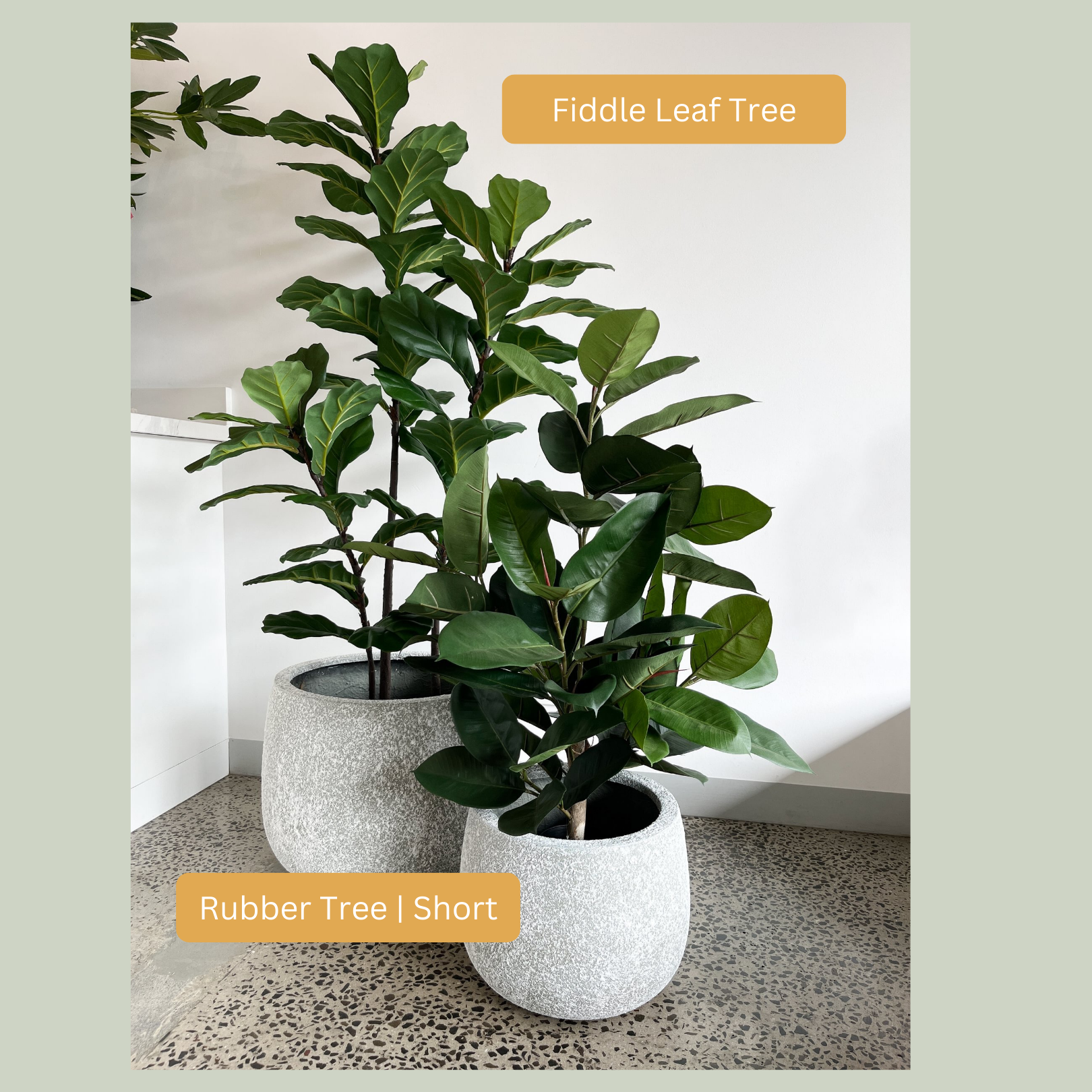 artificial fiddle leaf fig tree bunnings Artificial Short Rubber Tree