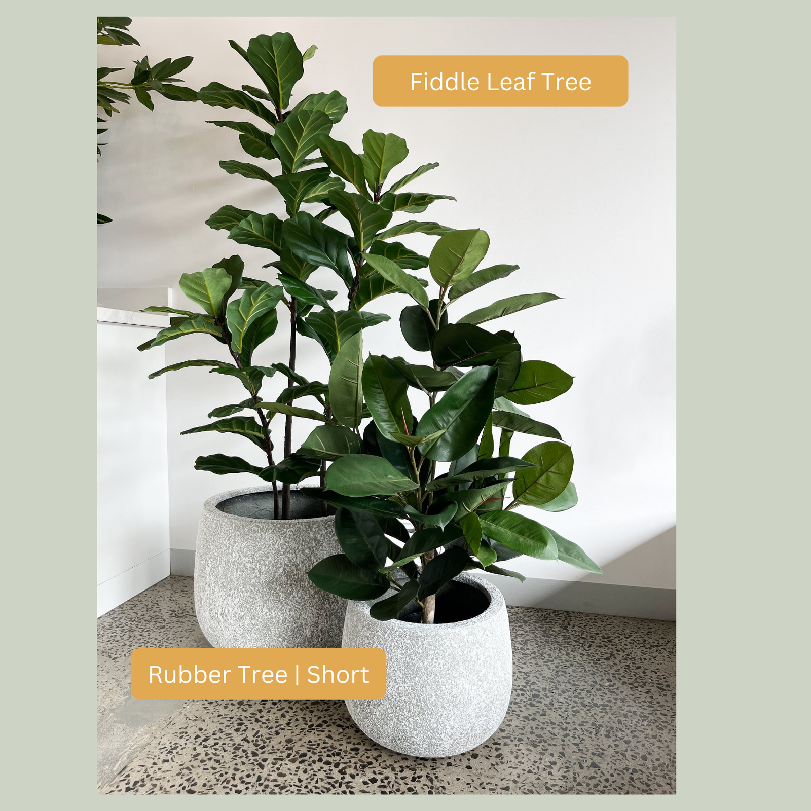 artificial rubber leaf tree Artificial Short Rubber Tree