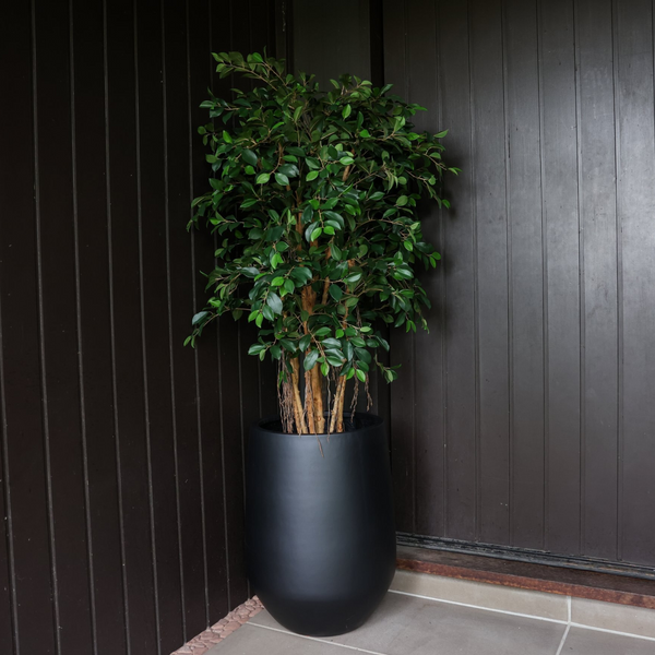 Artificial Ficus Tree