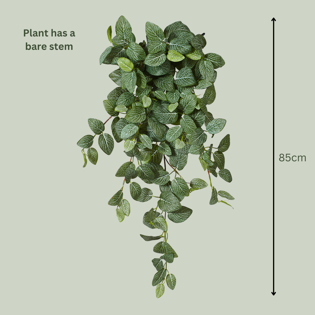 hanging fittonia plant Artificial Fittonia Bush