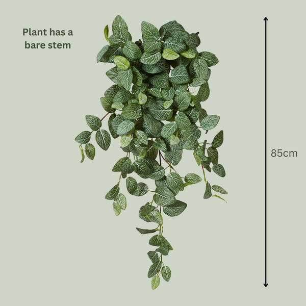 Artificial Fittonia Hanging Plant