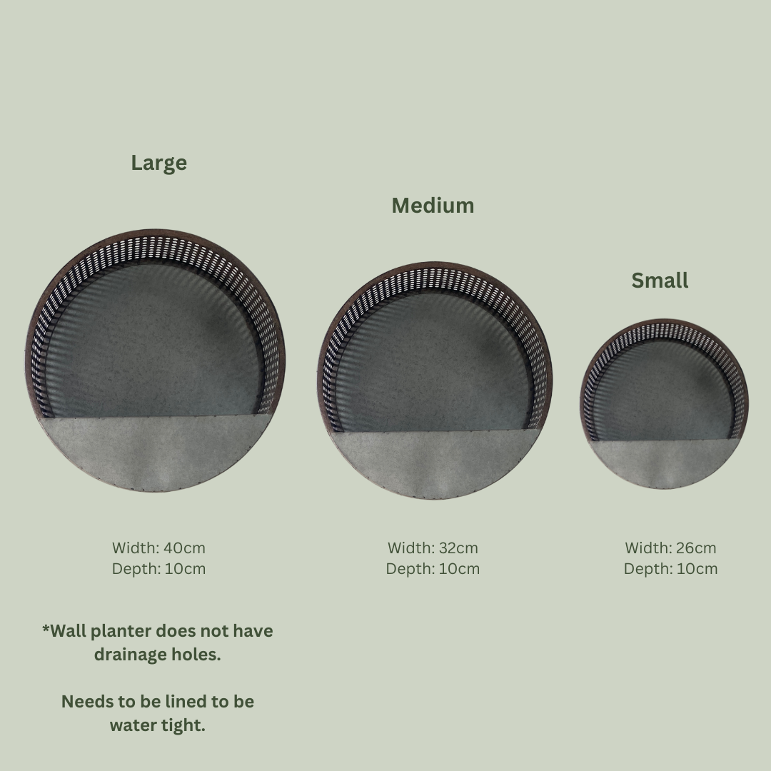 Full Moon Planters | Perforated