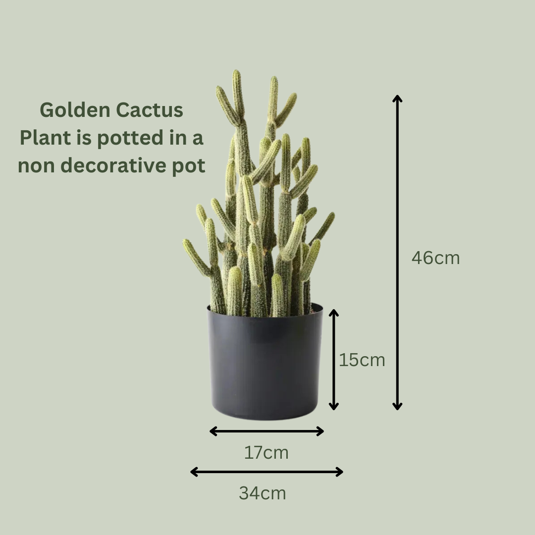 Artificial Golden Cactus