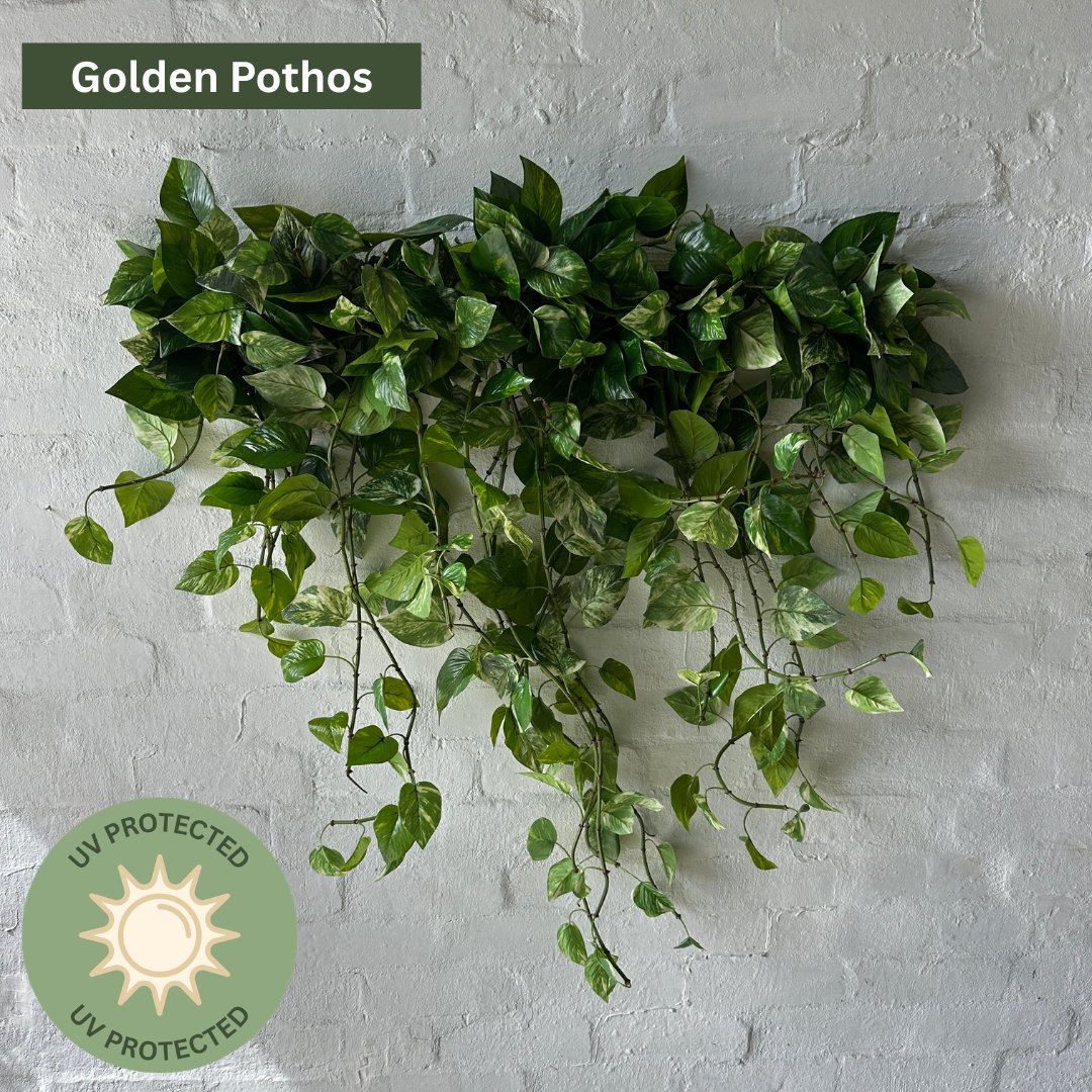 Artificial Balcony Trail