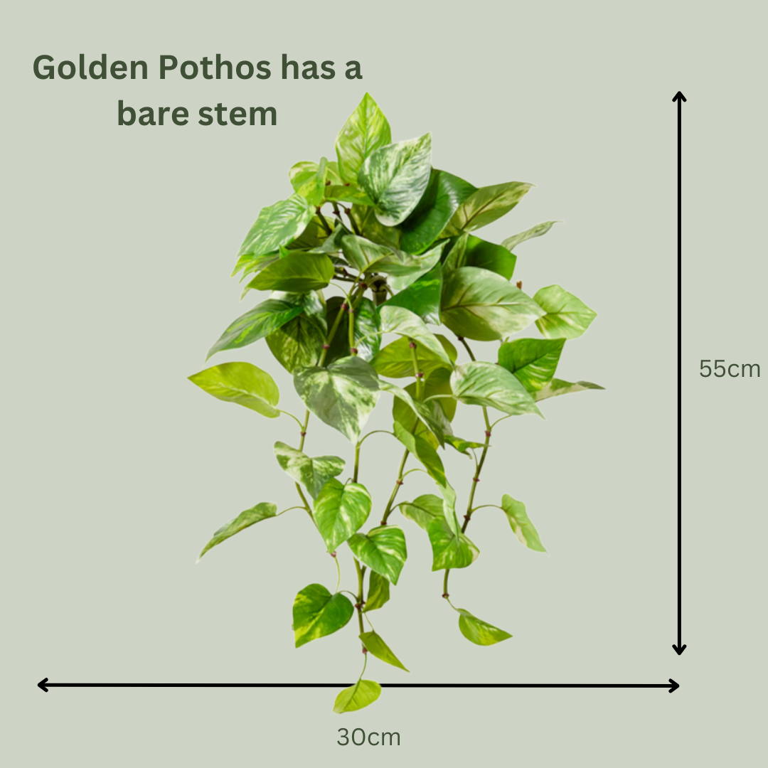 can you put a pothos plant outside Artificial Hanging Golden Pothos Plant