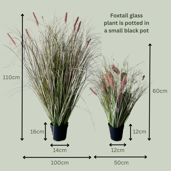 Artificial Grass | Foxtail