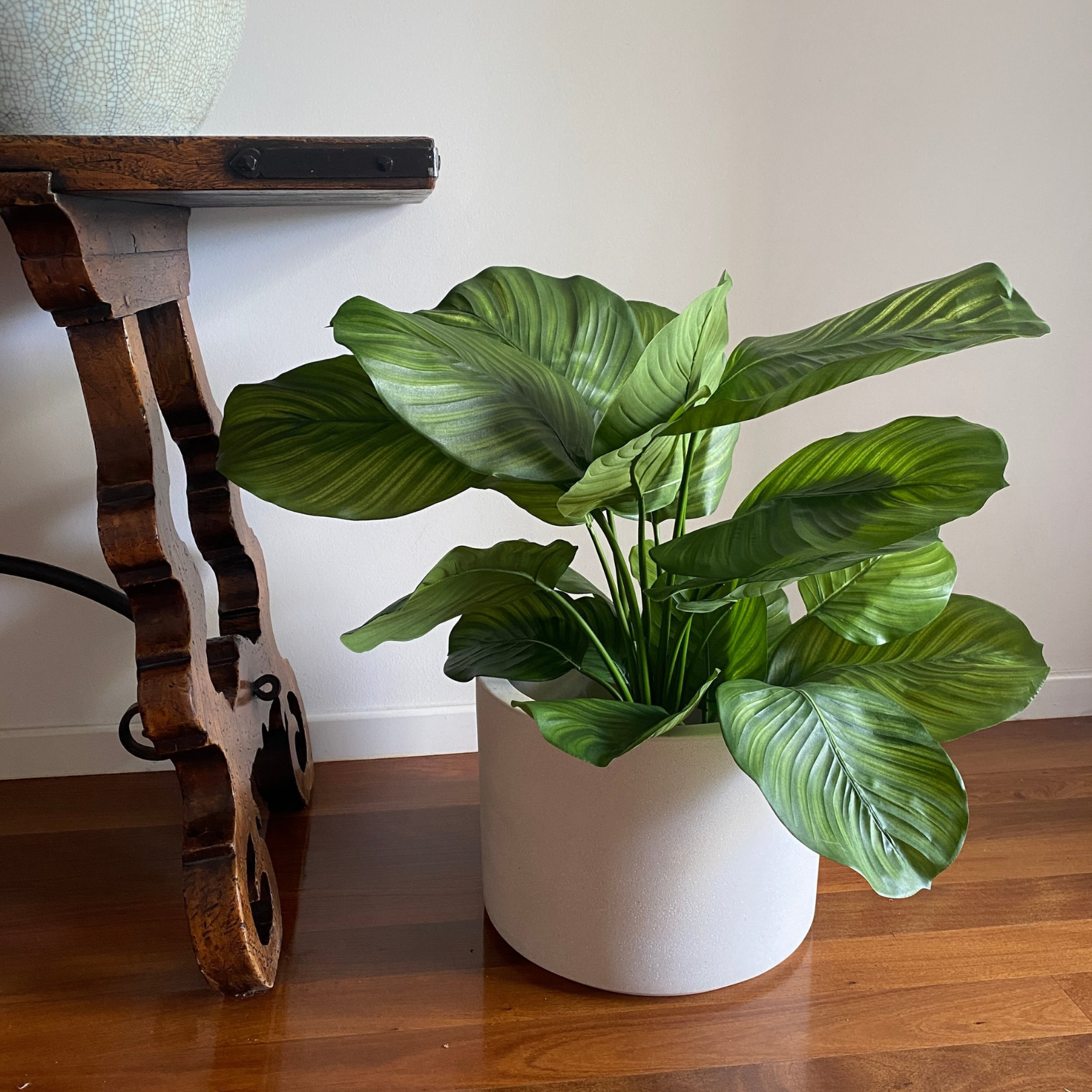Artificial Calathea | Green - The Plants Project
