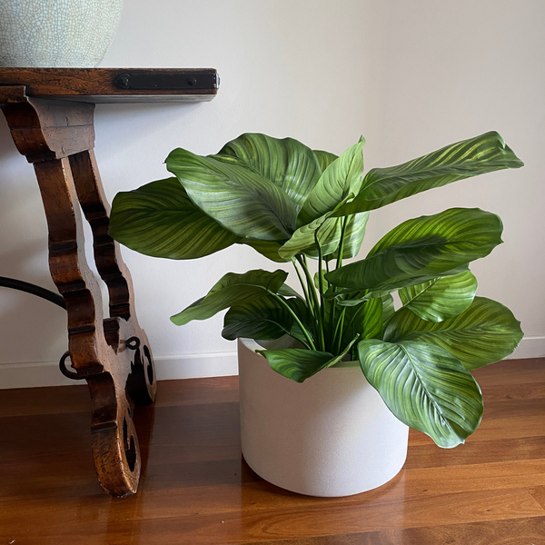 Artificial Calathea | Green