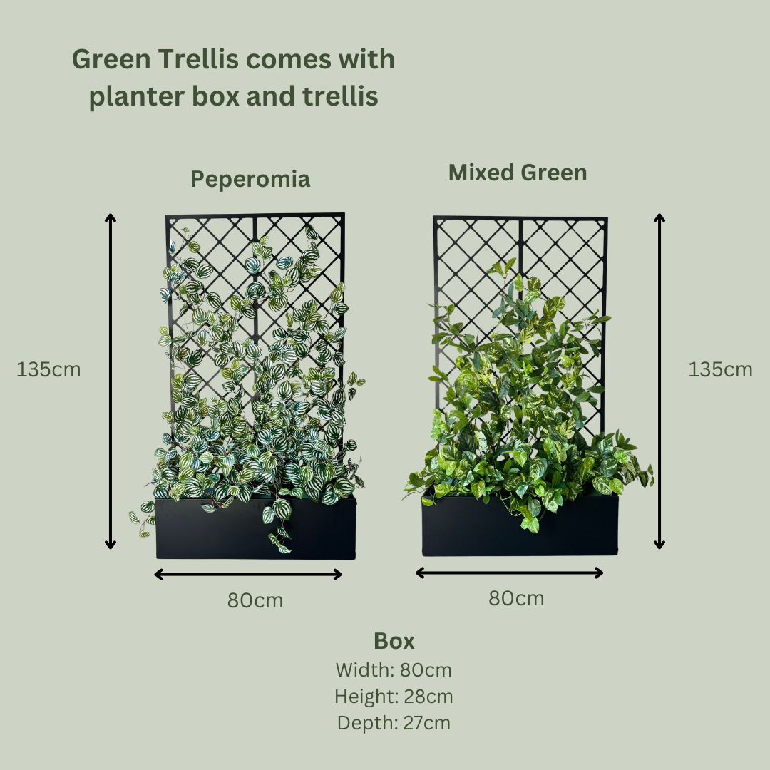 Artificial Green Trellis