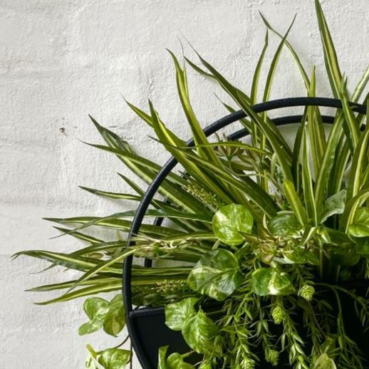 Artificial Greenery Design for Wall Planter