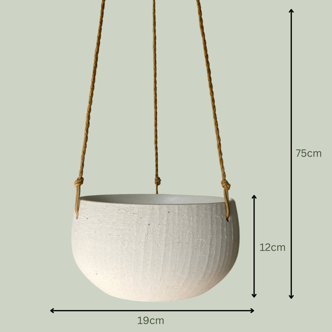 Ava Hanging Pot