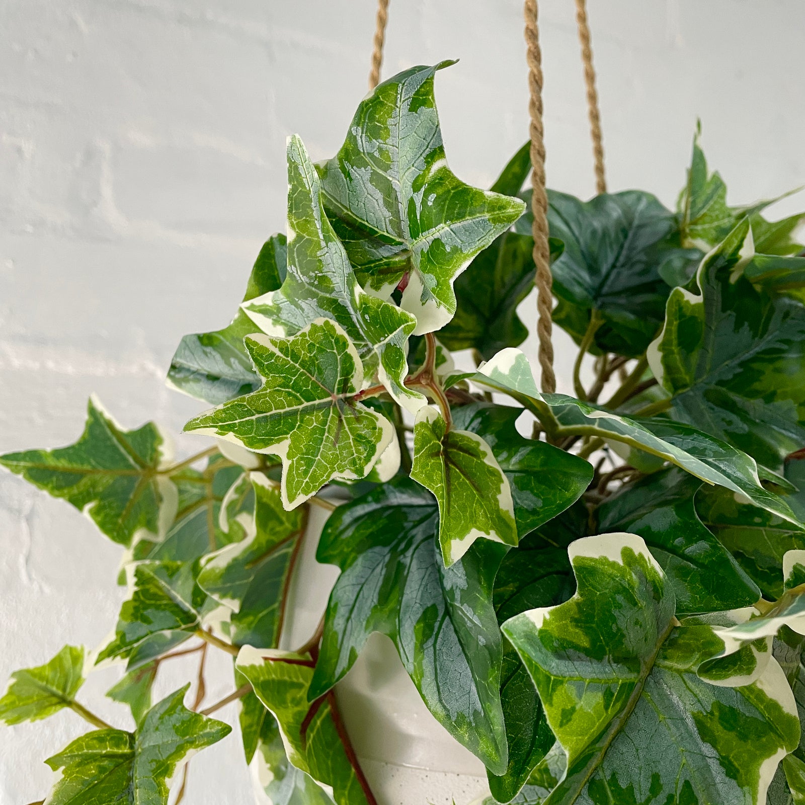 Artificial Hanging Variegated Geranium | Outdoor