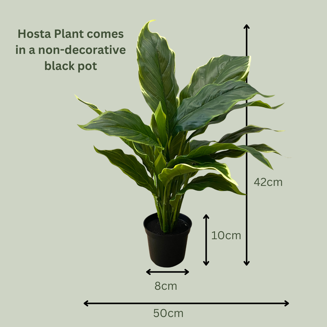 Artificial Hosta in Pot