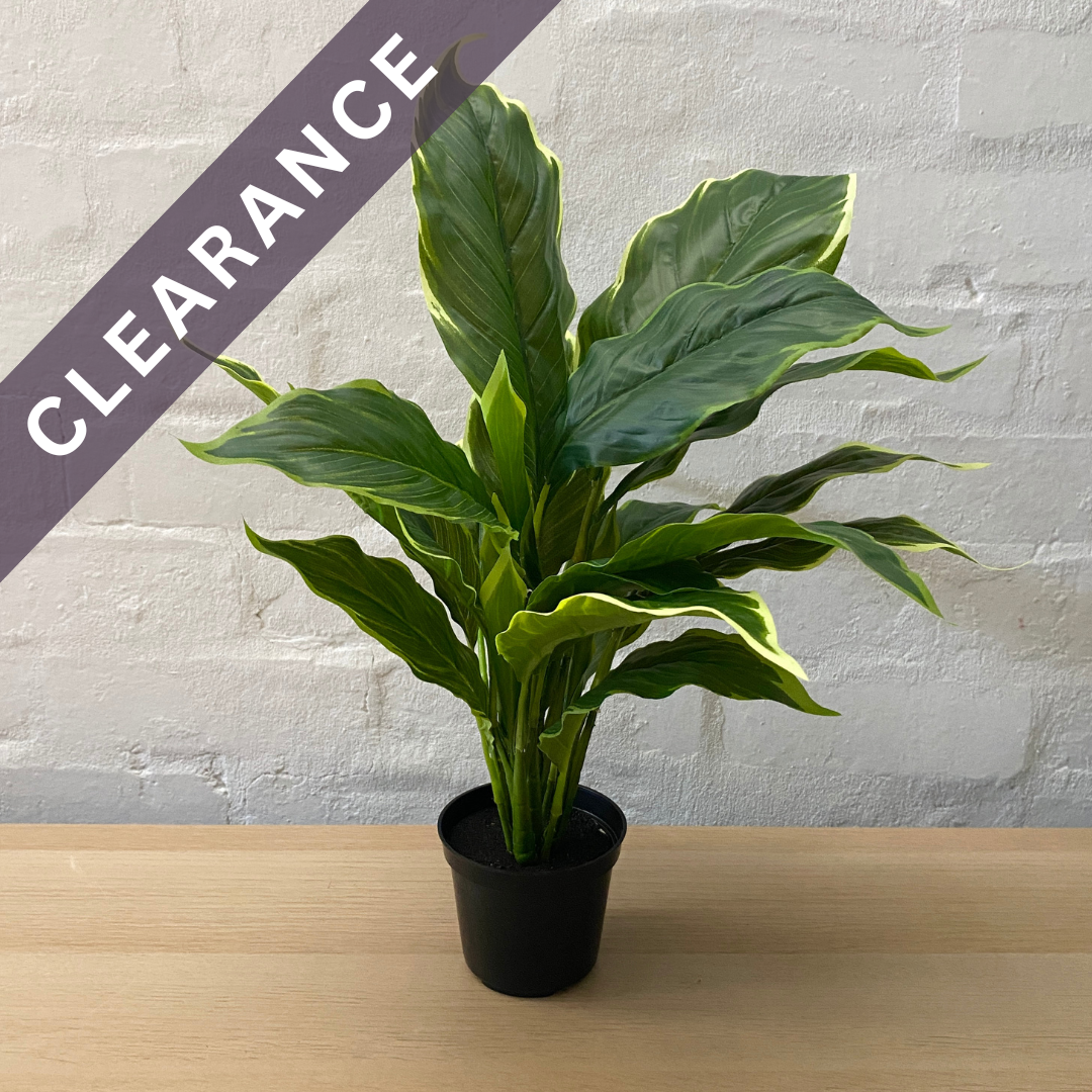 Artificial Hosta in Pot