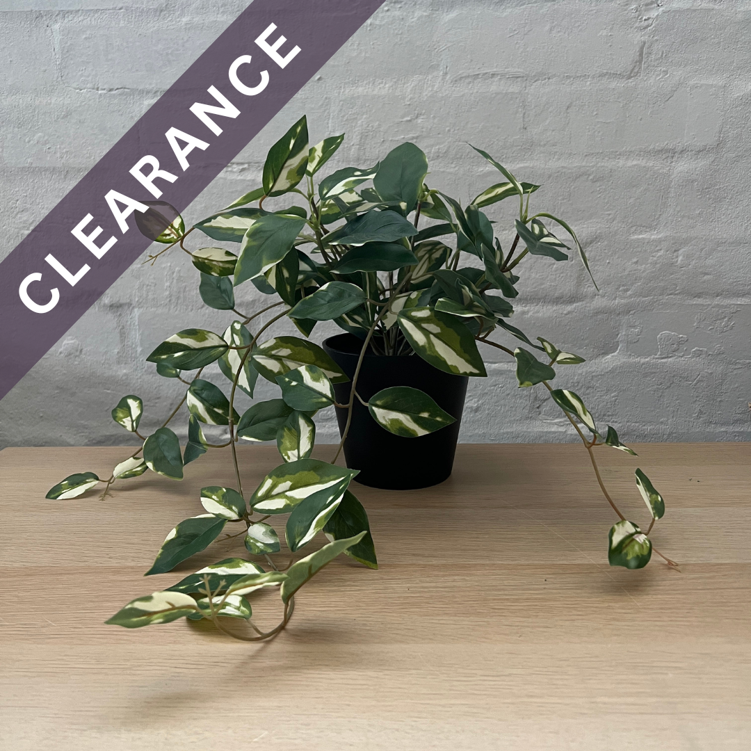 Artificial Hoya Plant