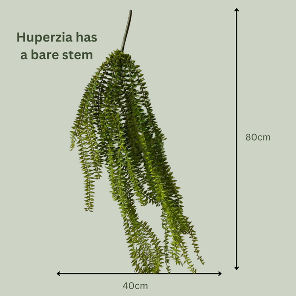 Artificial Huperzia Hanging Plant