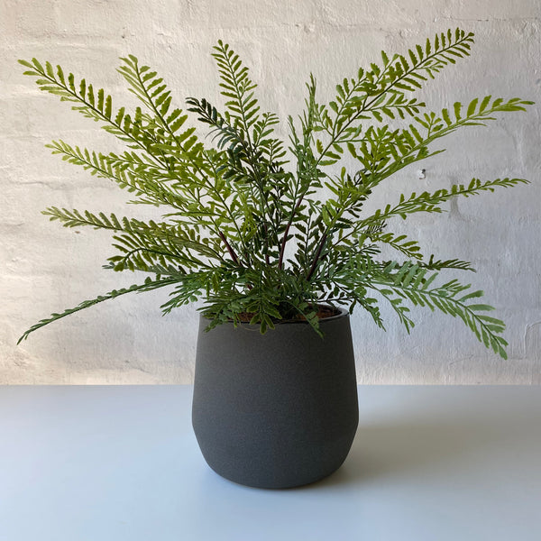 Artificial Mother Fern | Outdoor