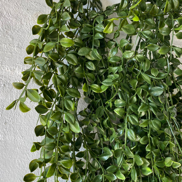 Artificial Hanging Ruscus Bush | Outdoor