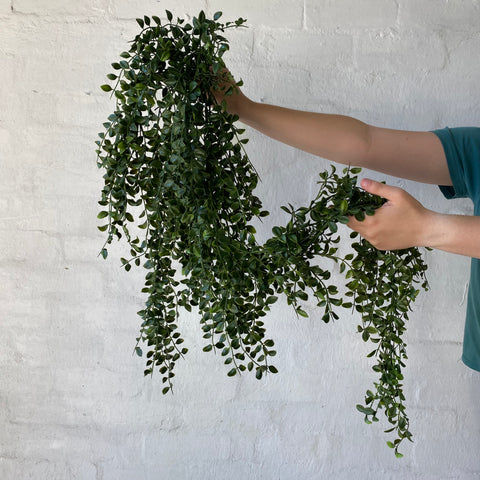 Artificial Hanging Ruscus Bush | Outdoor