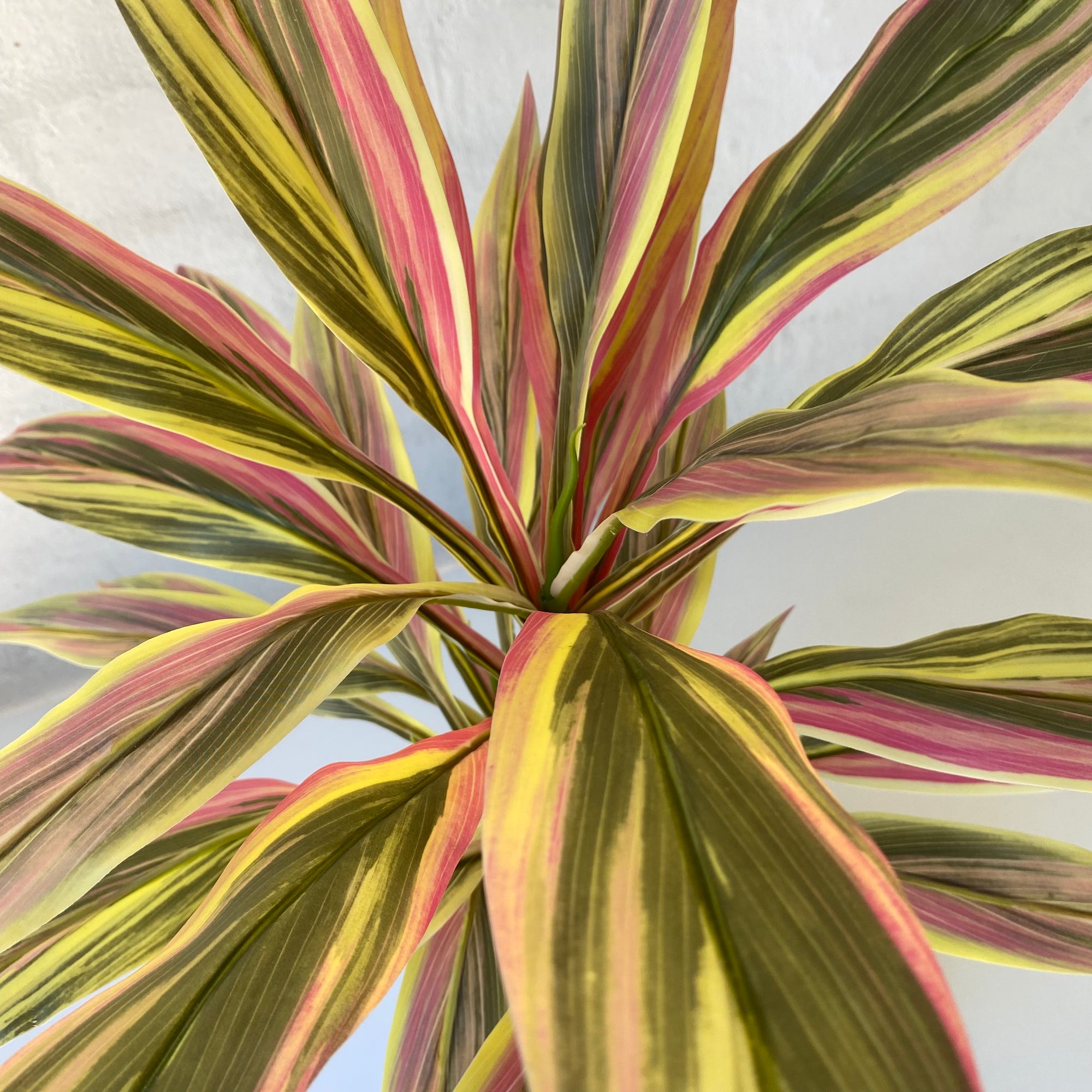 dracaena art bush Artificial Sun Dracaena Bush