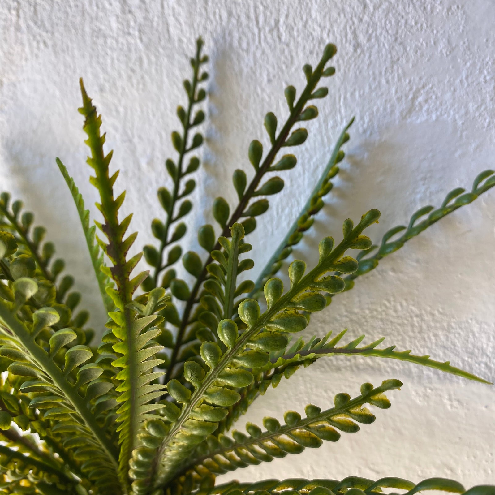 Artificial Lemon Fern