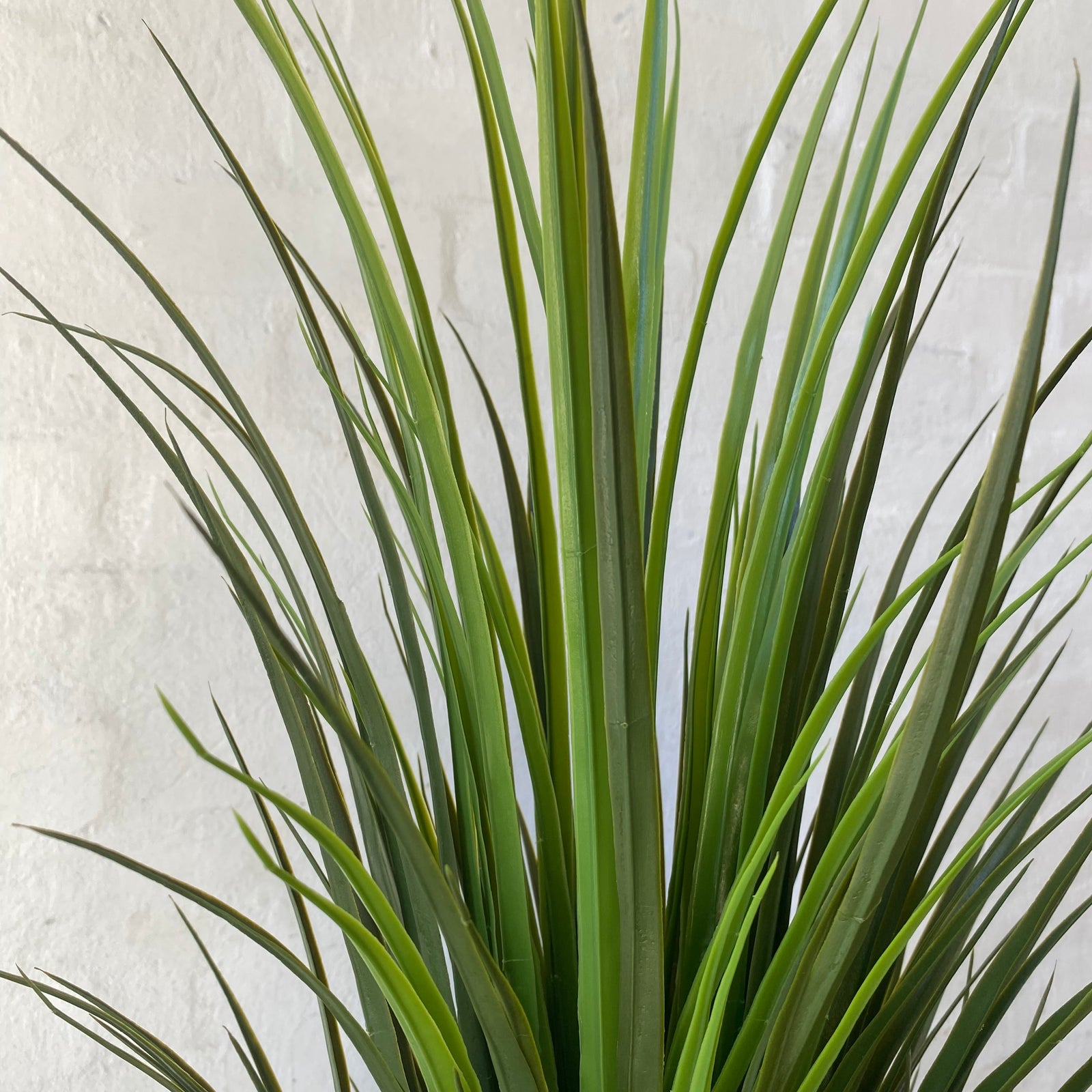 Artificial Yucca Plant | Outdoor