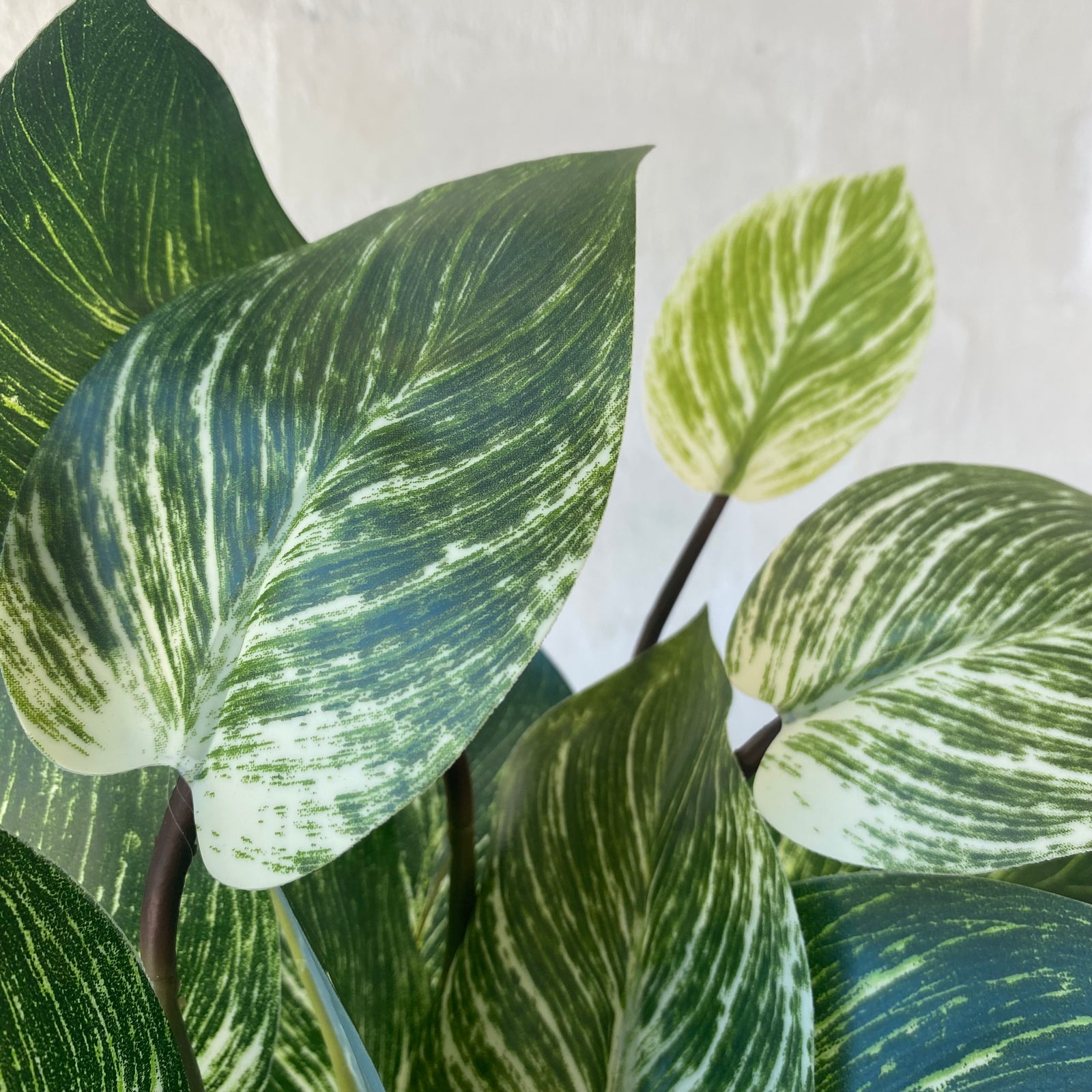 Artificial Philodendron Birkin Plant