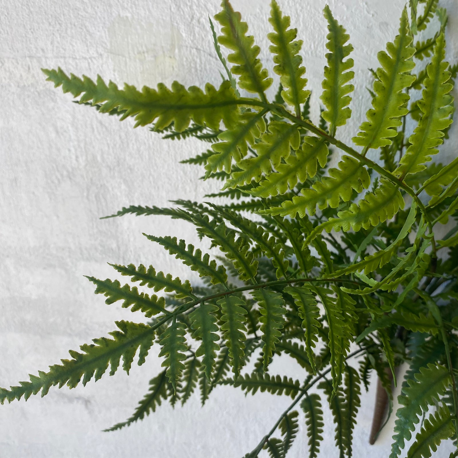Artificial Fern Chain | Outdoor