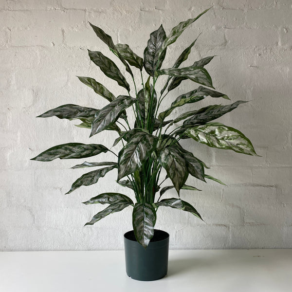 Artificial Silver Queen Plant