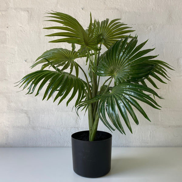 Artificial Fan Palm Plant