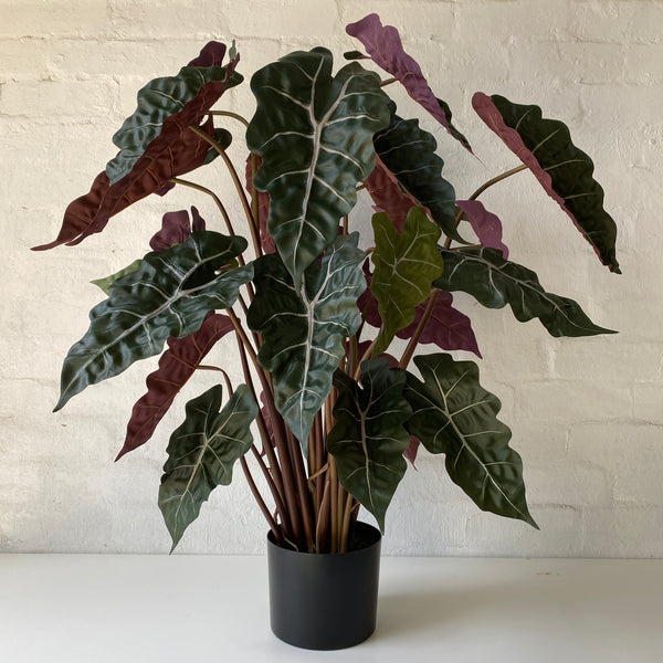 Artificial Alocasia Plant