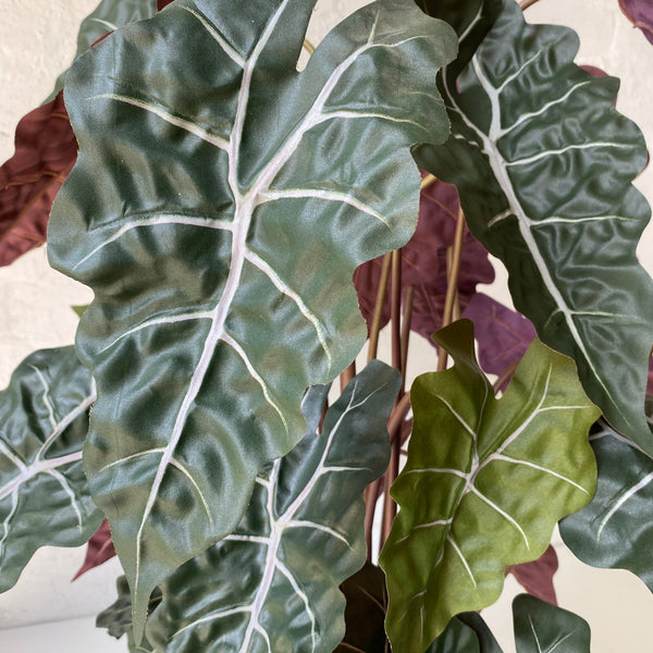 Artificial Alocasia Plant