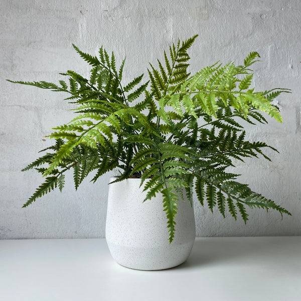 Artificial Fern Chain