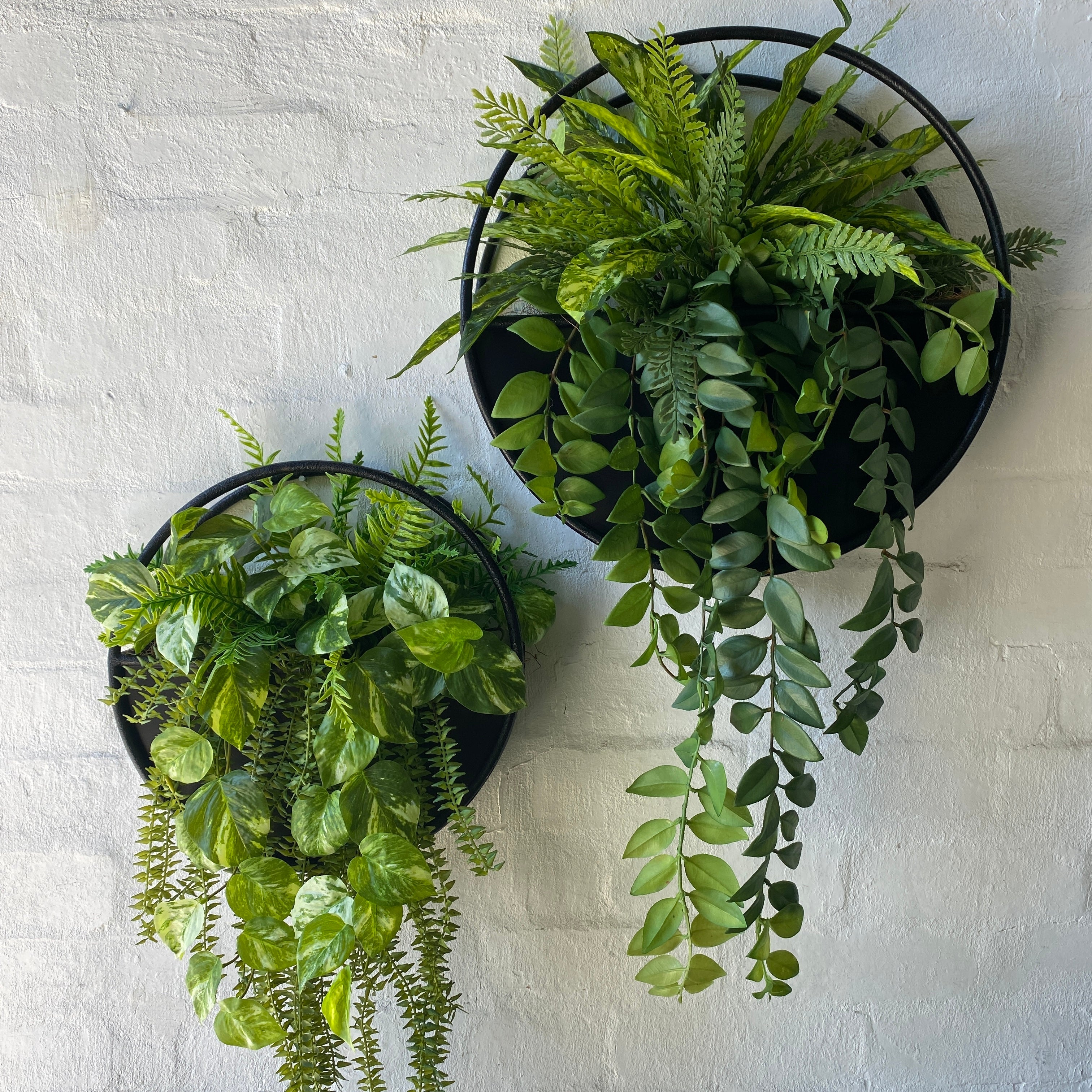 Half Moon Wall Planters styled on a wall