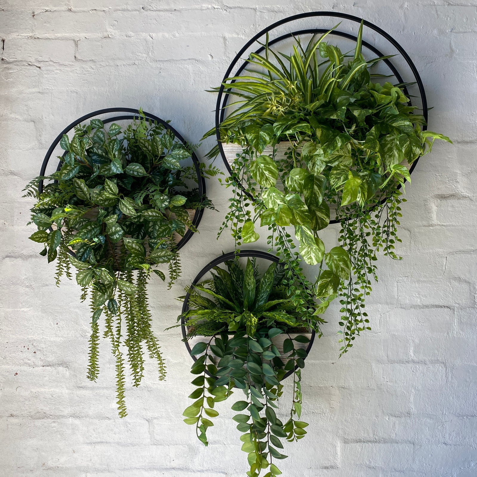 metal wall plant hanger Black Metal Half Moon Wall Planter