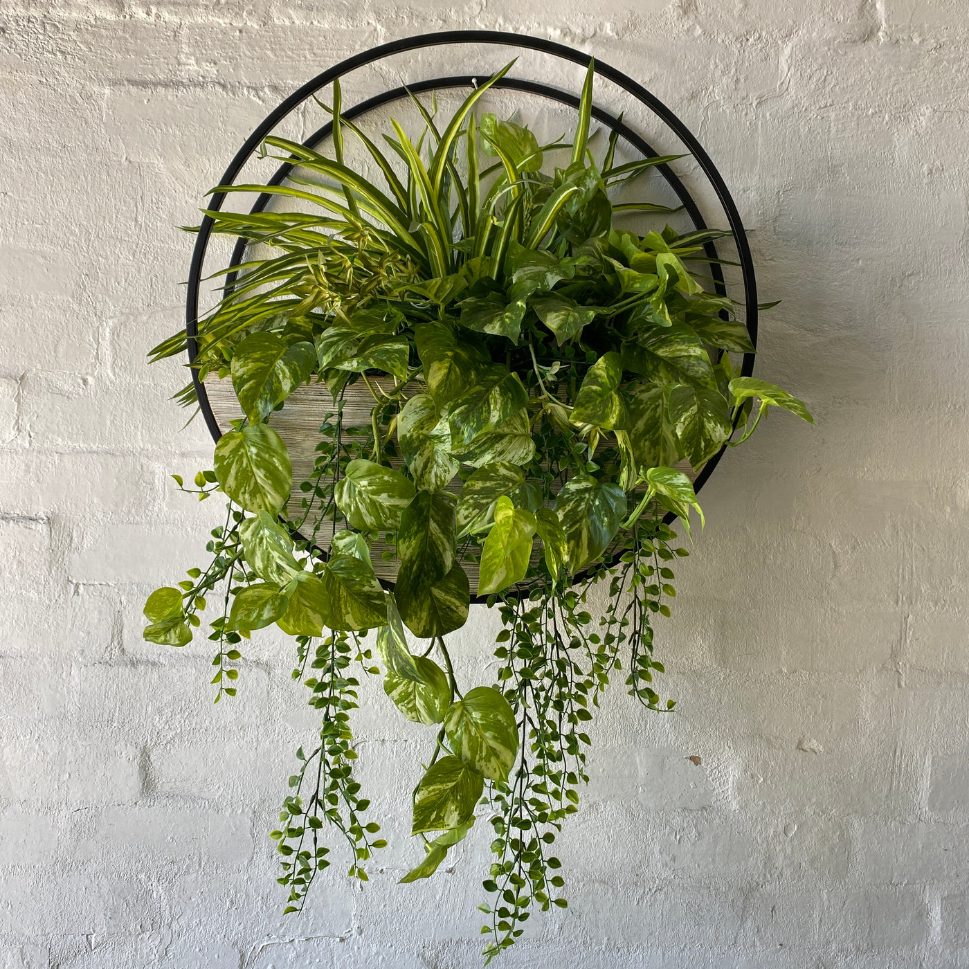 Half Moon Wall Planters collection