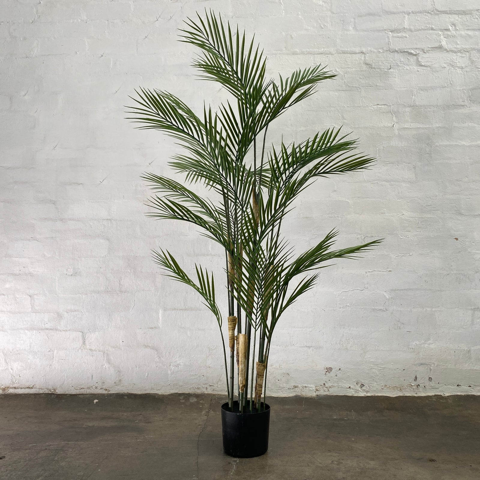 Artificial Phoenix Palm | Outdoor Plant