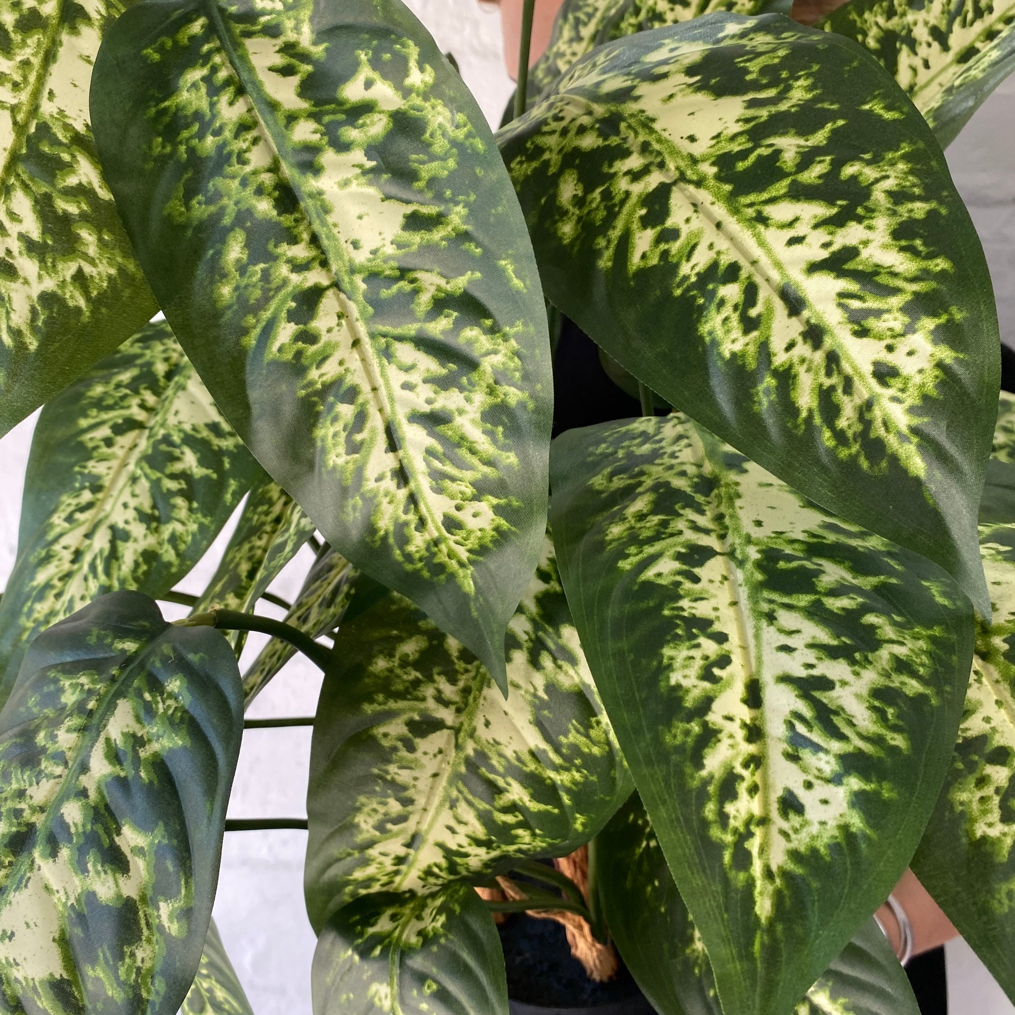 Artificial Dieffenbachia Plant