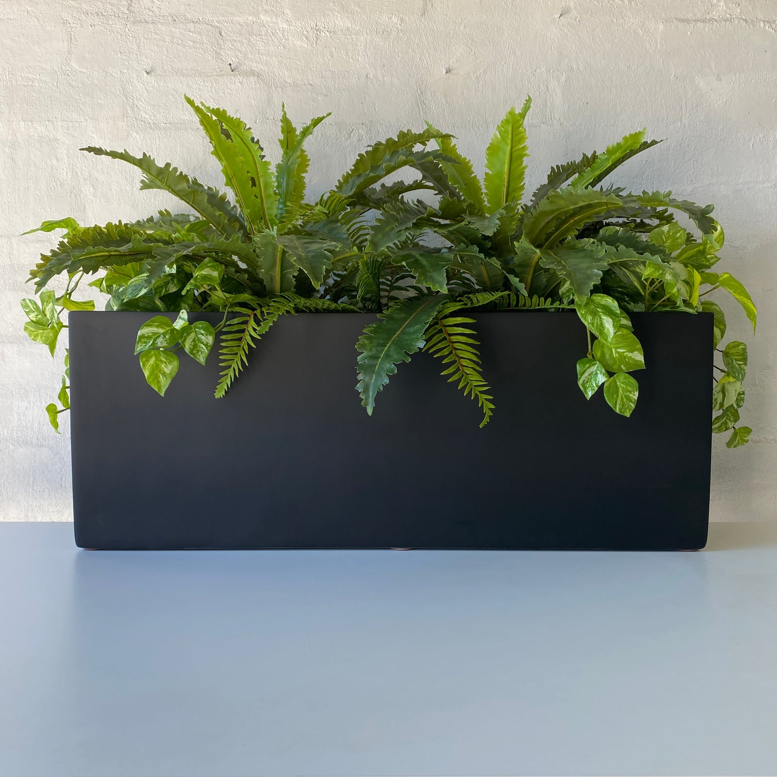 Artificial Plant Selection for Luca Troughs