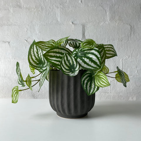 Artificial Peperomia